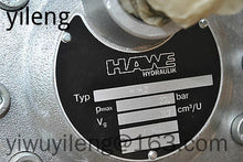 Load image into Gallery viewer, HAWE Pump R Series Hydraulic Radial Piston Pump R0.9 R2.5 R3.6 R8.3 repair kit
